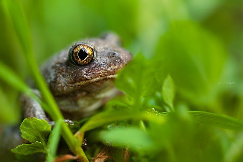 Спряталасьphoto preview