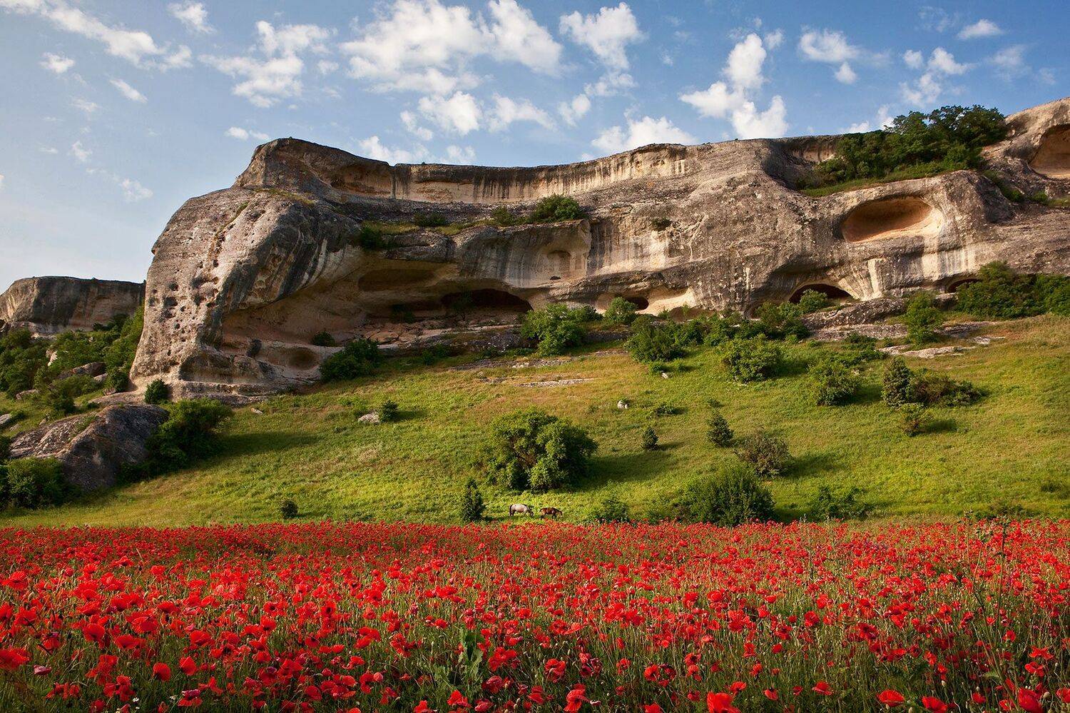 , Света  Черникова