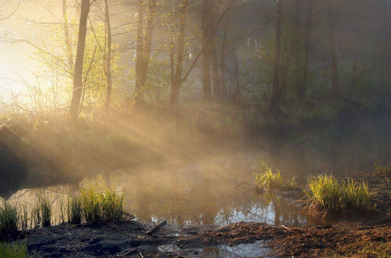 , Дмитрий Алексеев