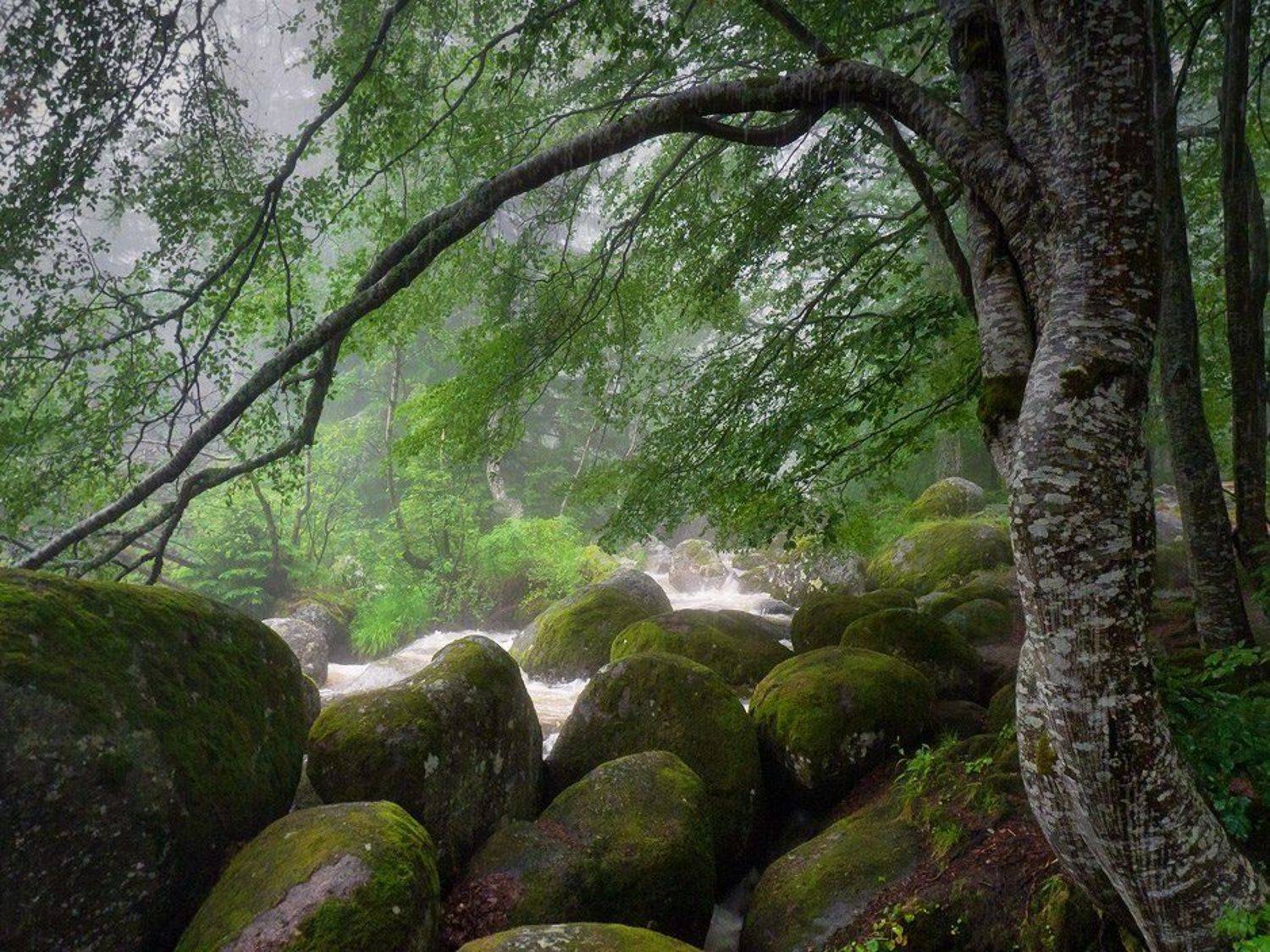 Автор: Svetoslav Georgiev , Svetoslav Georgiev