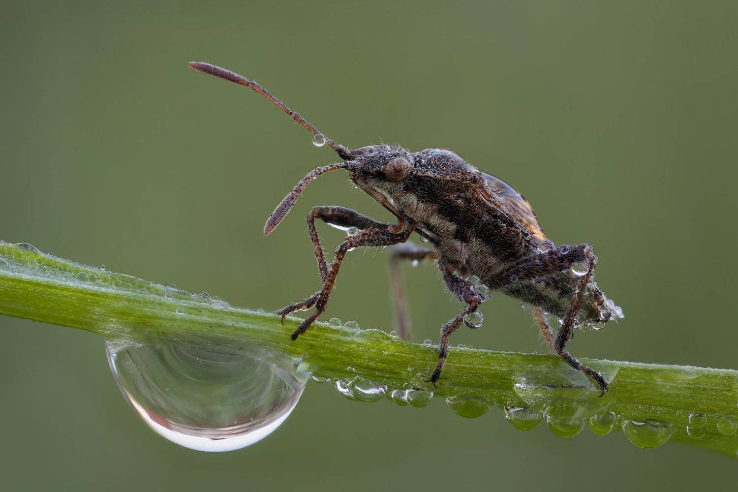 , Вадим Ходаковский