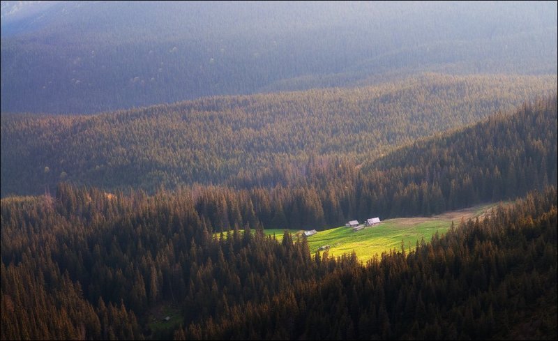 Доброе утроphoto preview