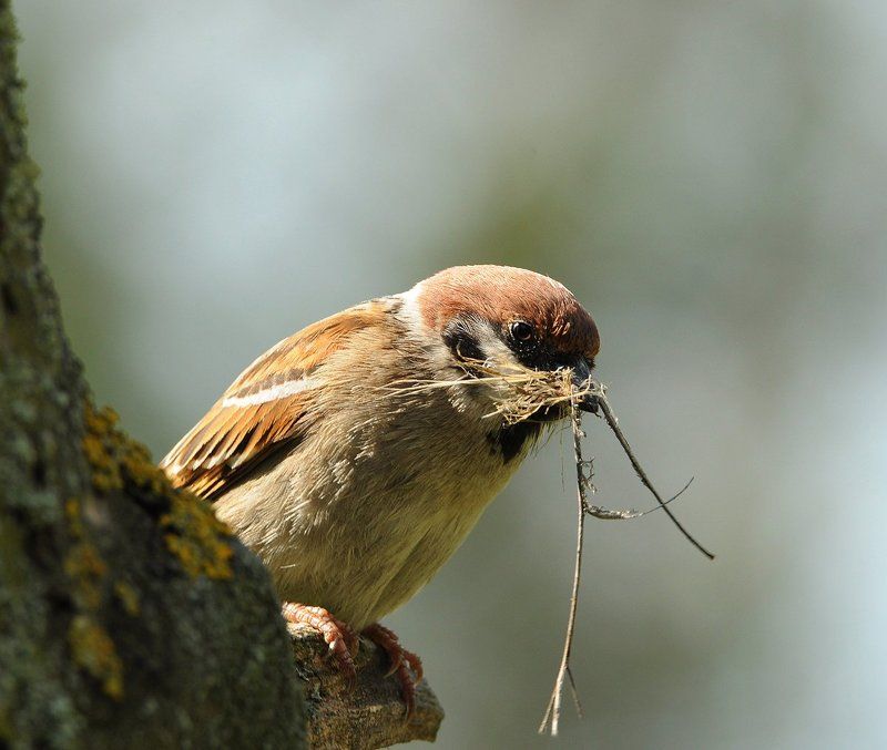 Приятная усталость... фото превью