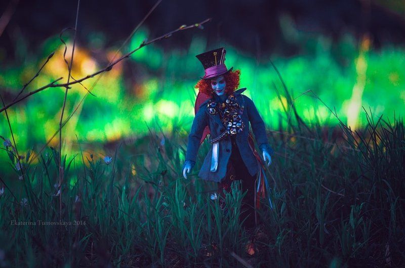 in Wonderlandphoto preview