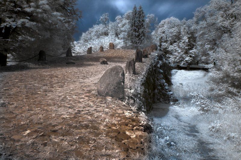 порталphoto preview