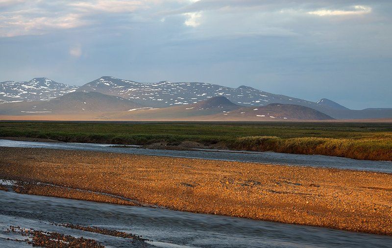 лето, чукотка Краски лета.photo preview