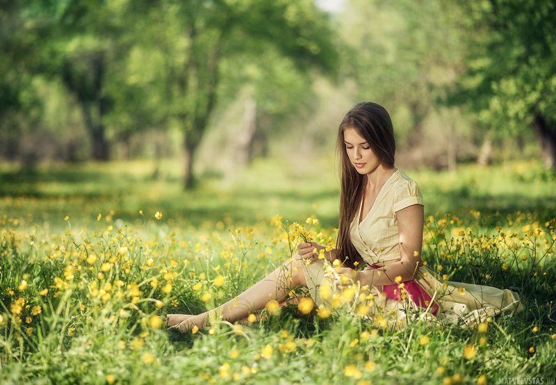 Поле, Цветы ***photo preview