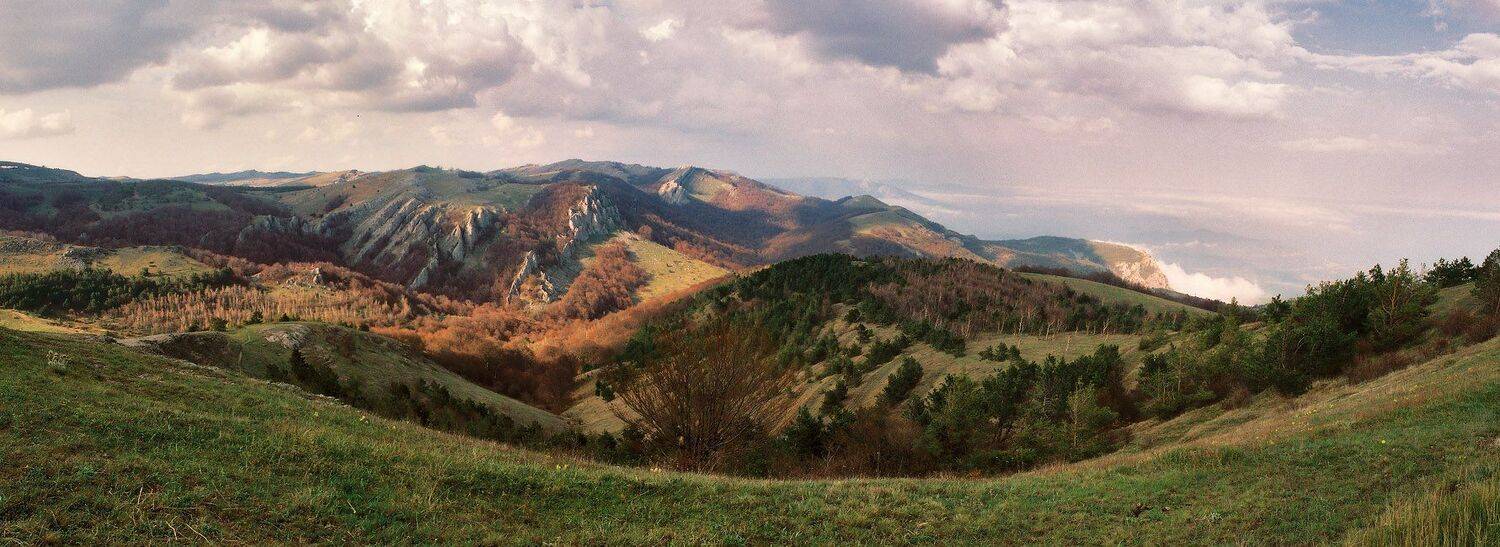 , Вейзе Максим