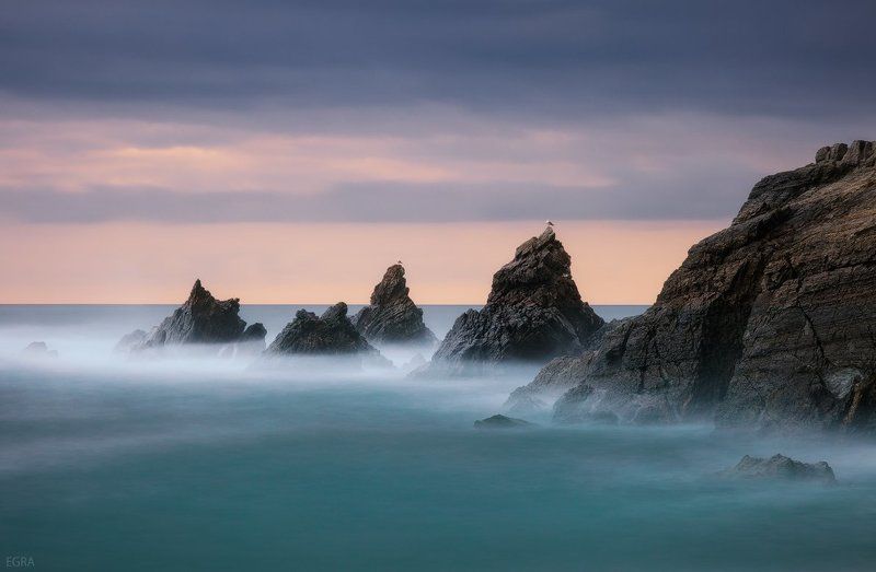 атлантический, Испания, океан, Чайка медитирующие чайкиphoto preview