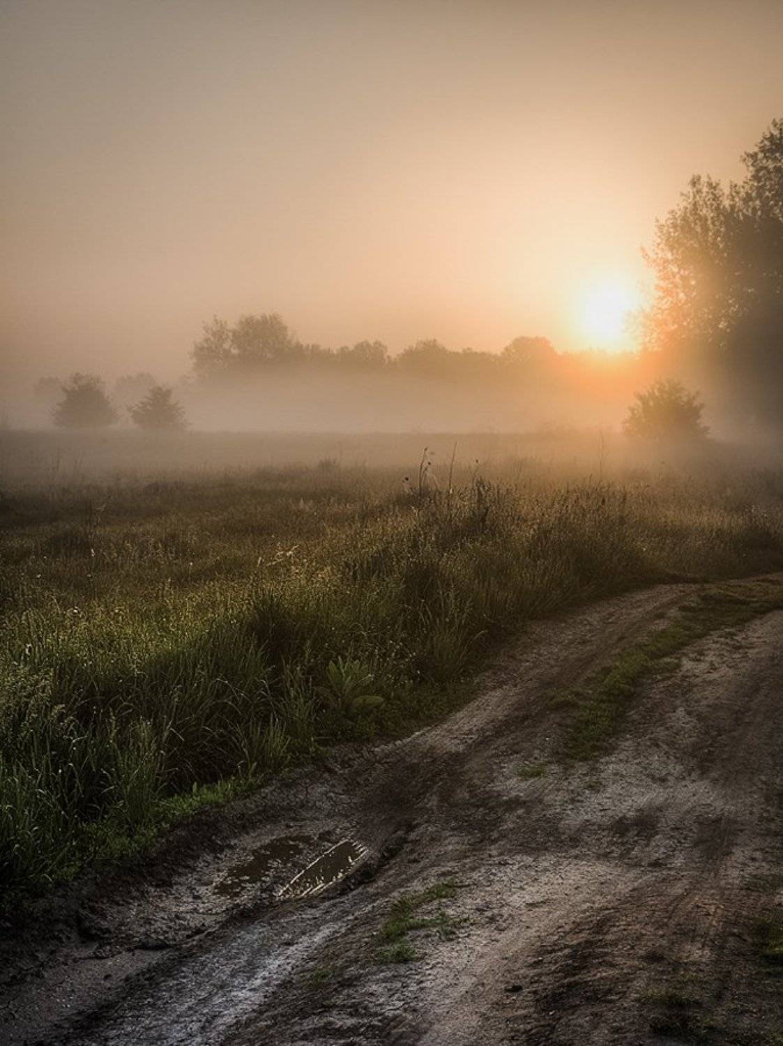 На восходе. Автор: Владимир Костылев Утро восход, Владимир Костылев
