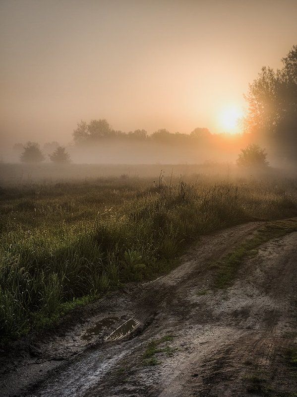 Утро восход На восходеphoto preview