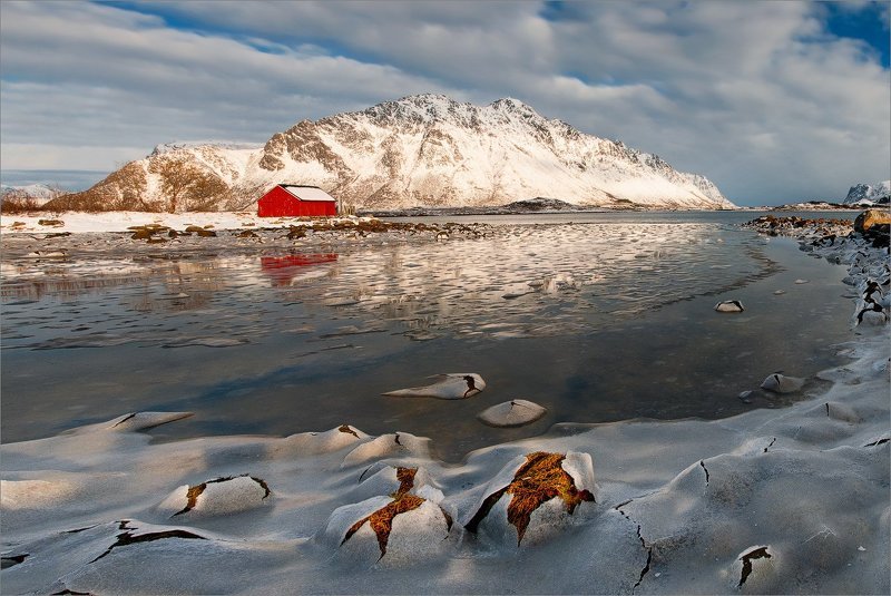Весенним днемphoto preview
