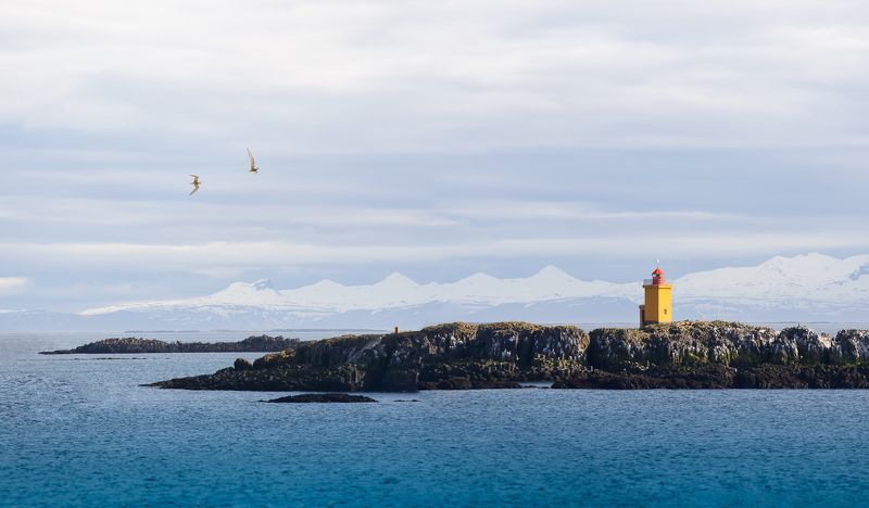 прощай, дюранга...photo preview