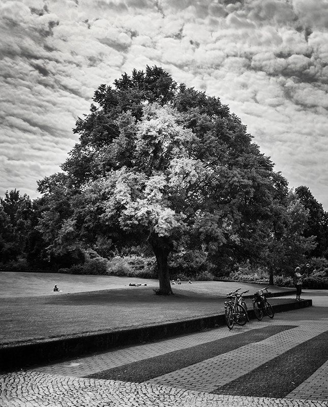 Берлин. Черно-белая серия.photo preview