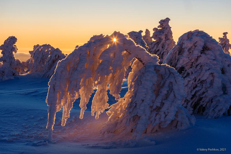 красочный, рассвет, пихты, снег, иней, сугробы, зима, гора курган, шерегеш, горная шория Под гнетом Сибирской зимыphoto preview