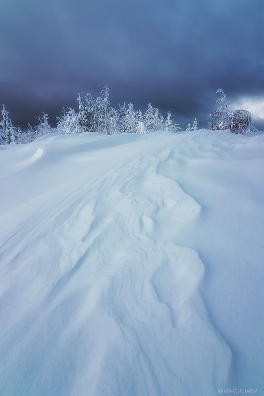 Рябьphoto preview