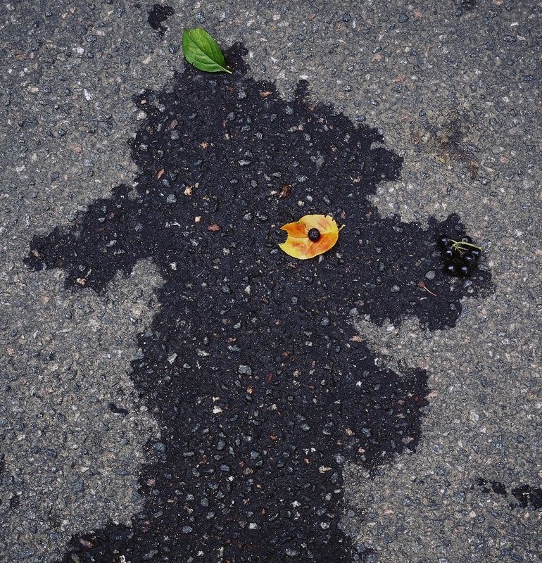 pareidolia ***photo preview