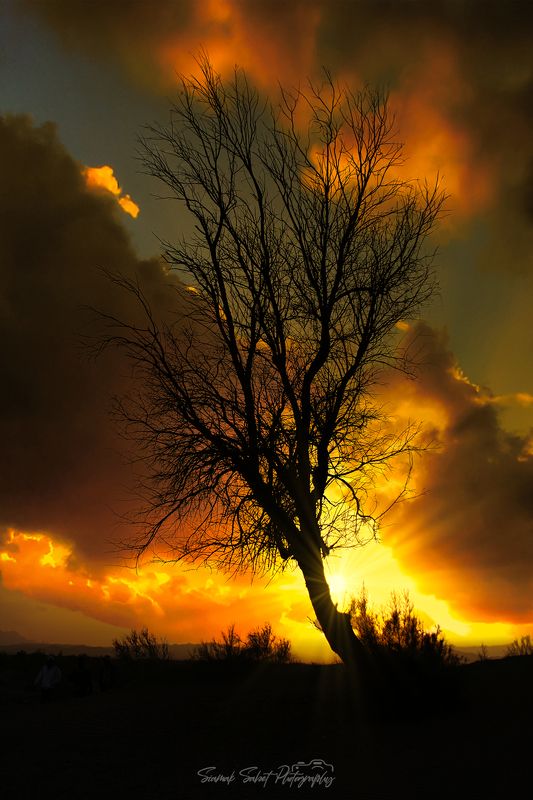 Golden Timephoto preview