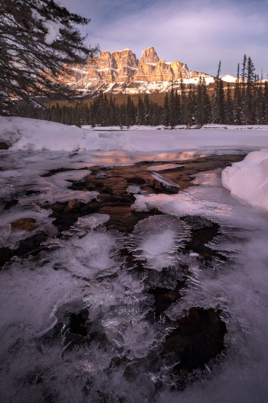 canada, rockies, bow, river, castle Ажурный Кастлphoto preview