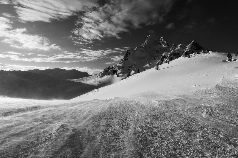 2022 фото превью