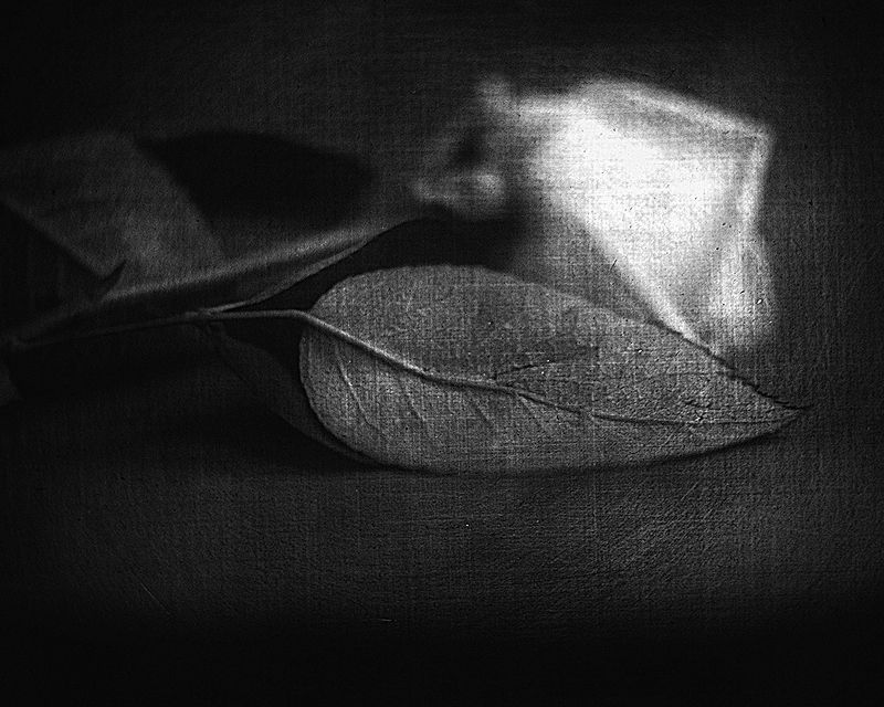 Монохромная тишинаphoto preview