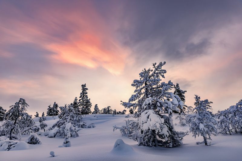 Закат окрасил красками дивными Волосяную сопкуphoto preview