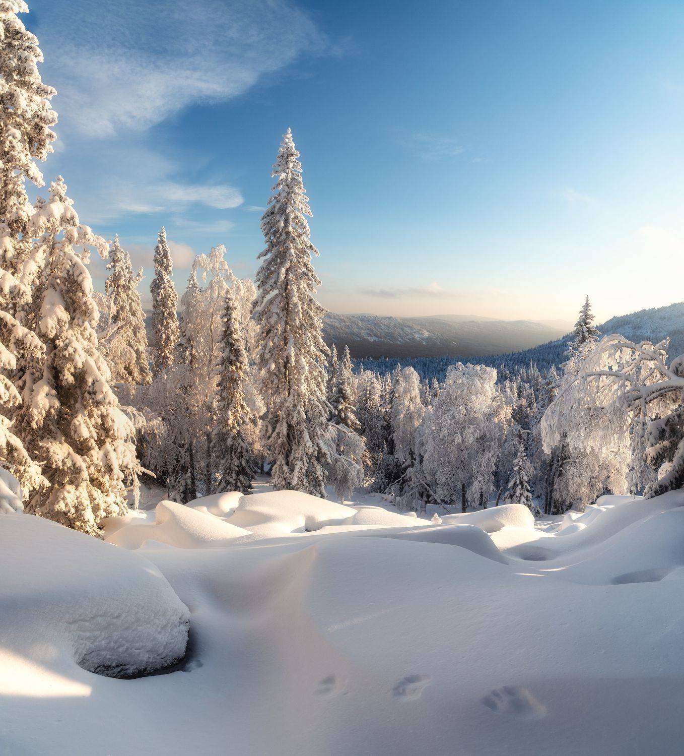 , Алексей Козаченко