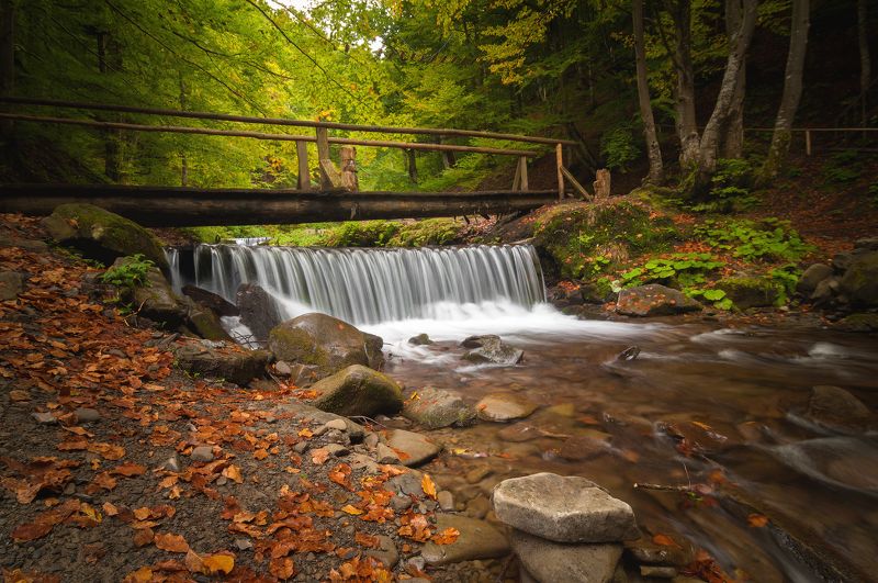 горы, карпаты, водопад, шипот, река, лес, украина Карпатыphoto preview