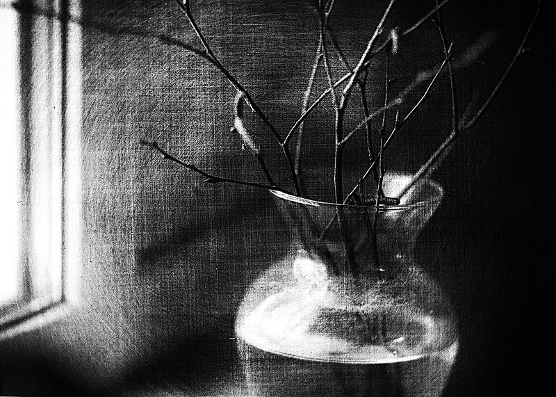 О приближающейся  весне...photo preview