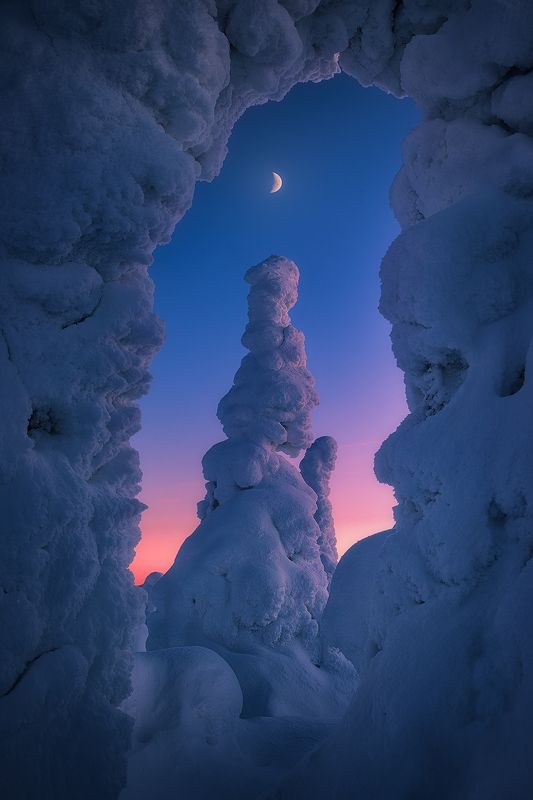 lapland, finland, winter, snow, tree, moon, landscape  ...lapland...photo preview