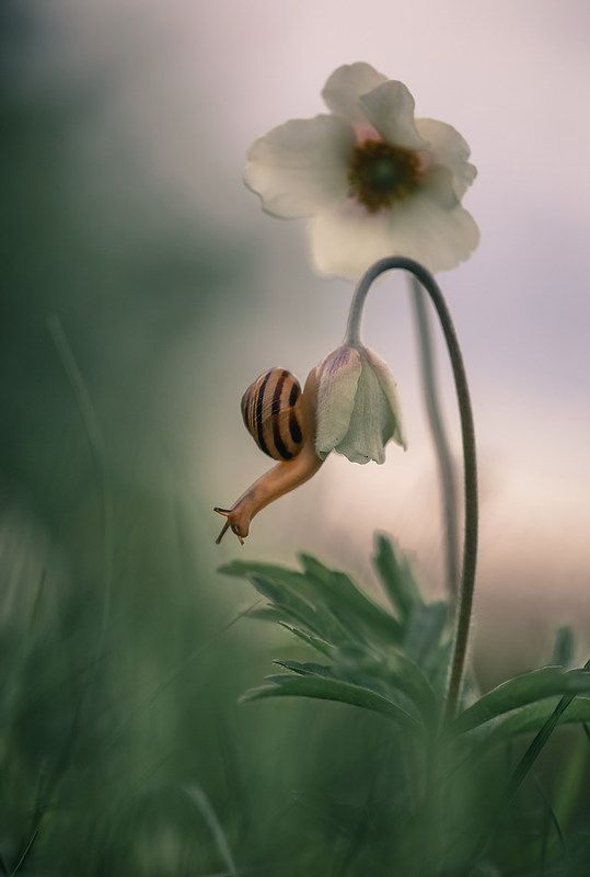 Не все дороги гладкие...photo preview