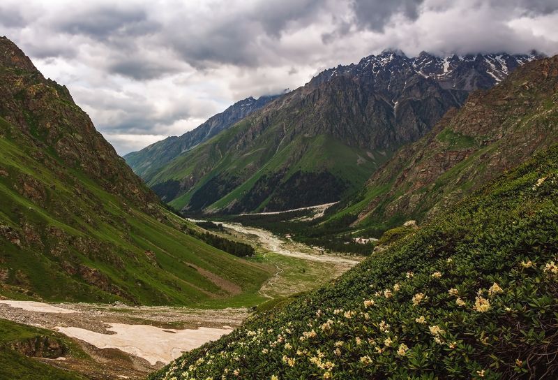 горы,восхождение,кавказ,облака горные цветы....photo preview