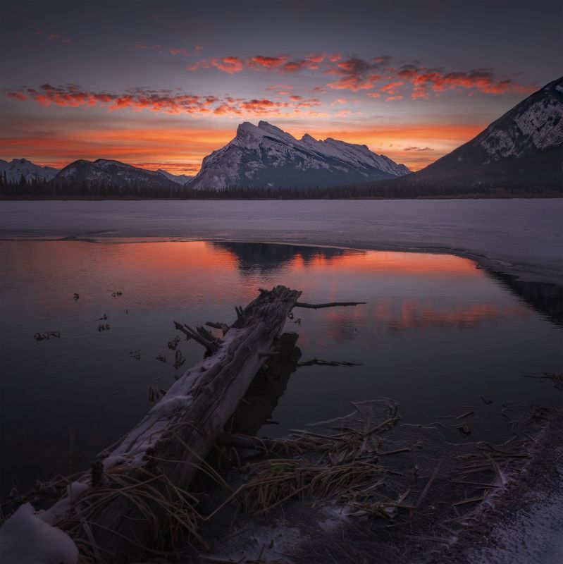 VER-MILLION DOLLAR VIEWphoto preview