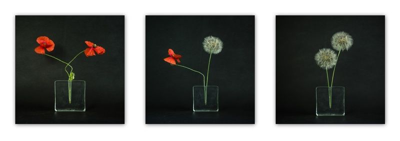 tryptykphoto preview