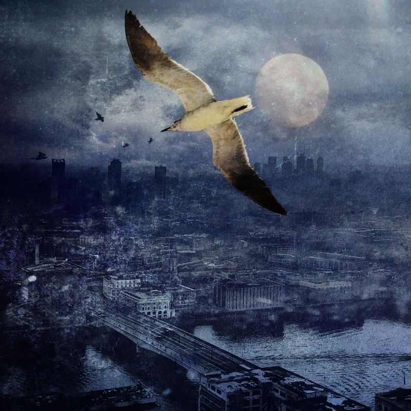 The End of the Beginningphoto preview