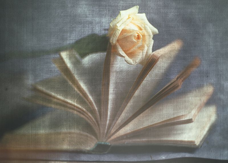 О любви между строкphoto preview