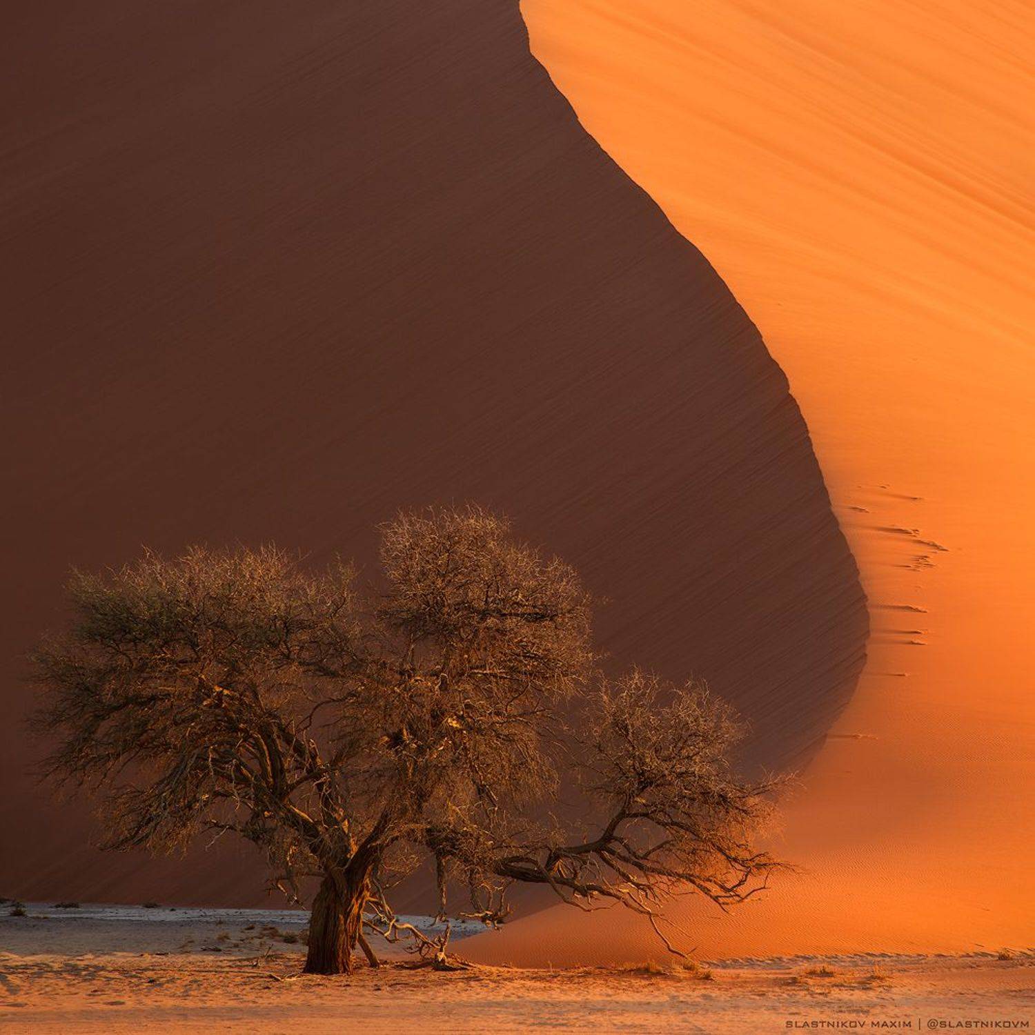 , Максим Сластников