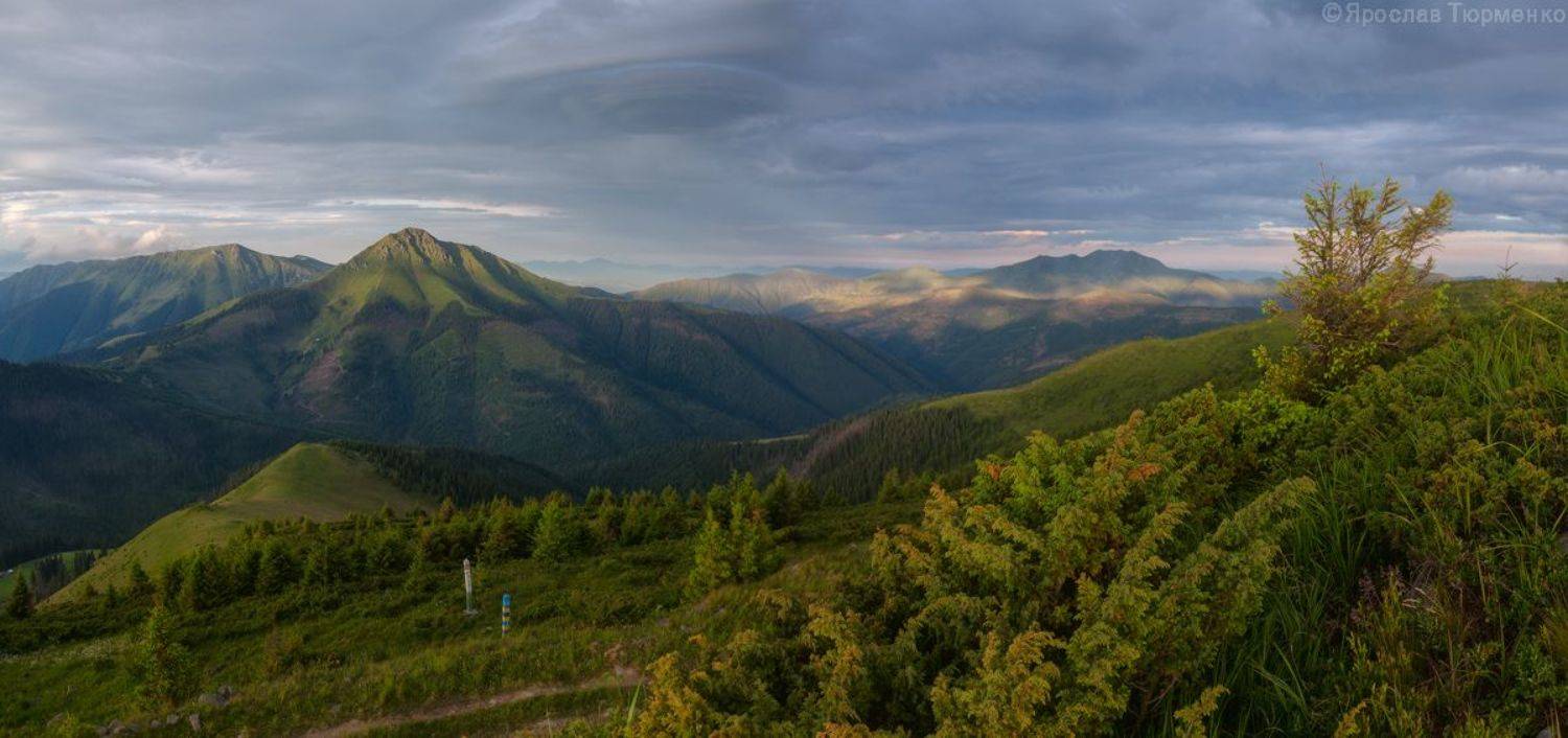 , Ярослав Тюрменко (Jaremi)