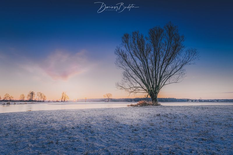 Winter morningphoto preview