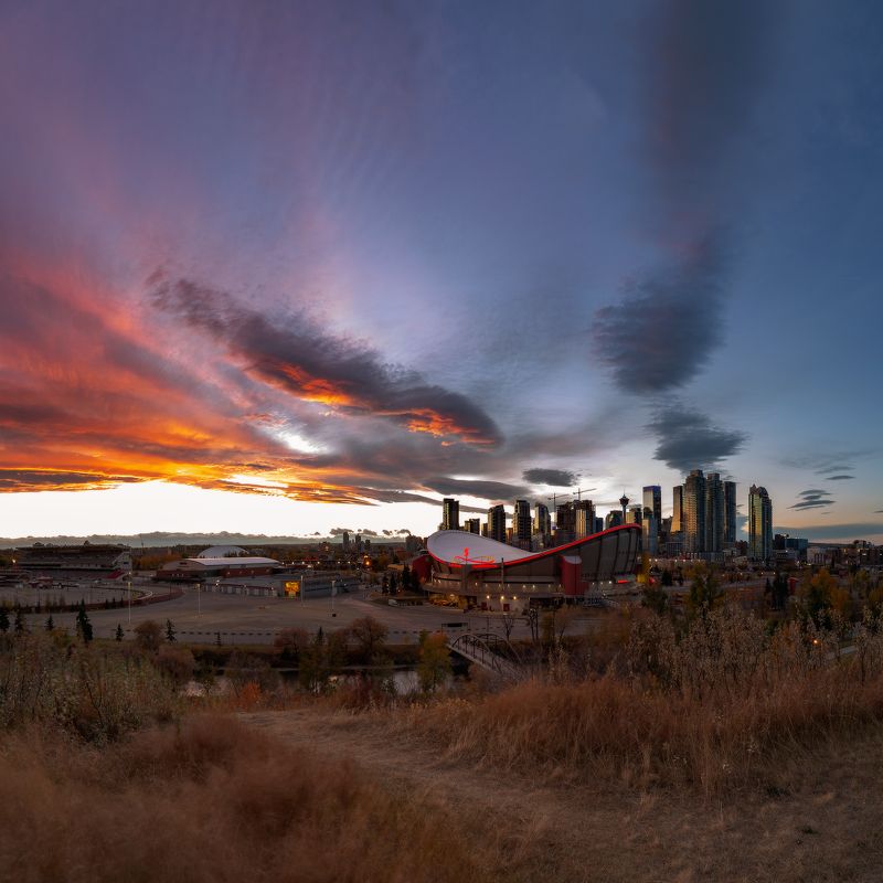 ШИНУКphoto preview