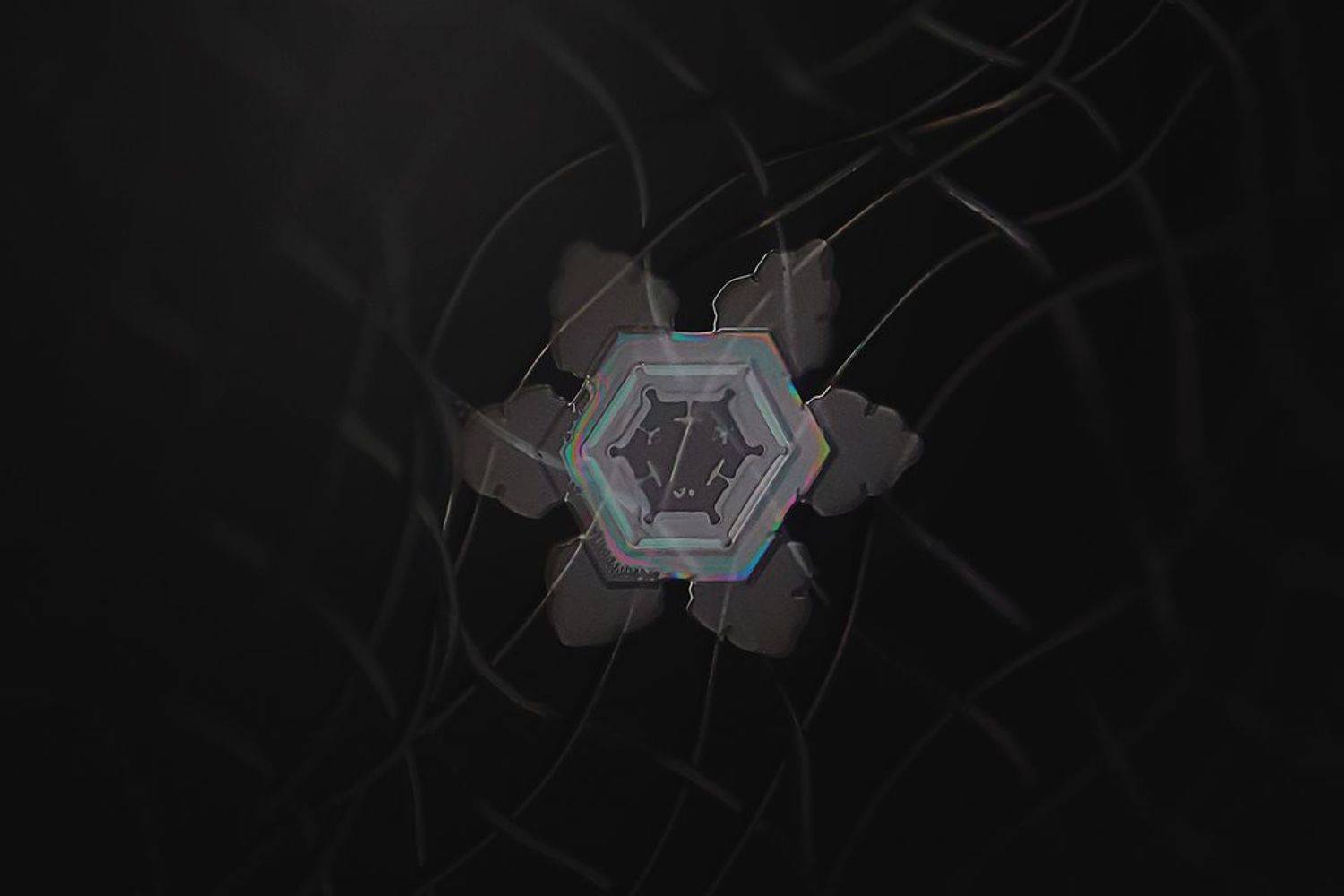 Снежинка с радужным отливом. Автор: Фролова Евгения макро, снежинки, laowa, Фролова Евгения