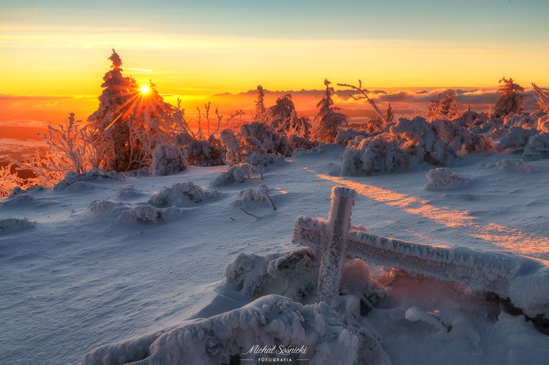 #poland #pentax #benro #lightroom #nikcollection #nature #sunrise #mountains #sky #fog #foggy #morning #pix #trees #sun Sunrise at Babia Góra 3.photo preview