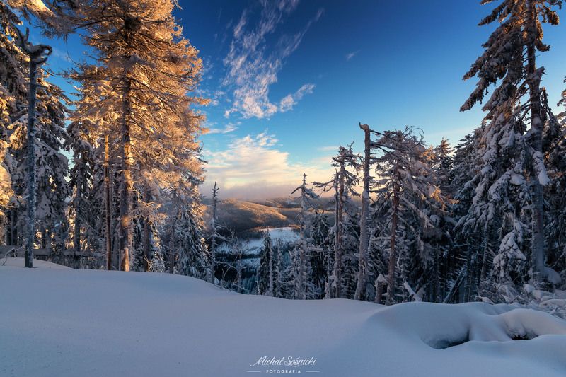 #poland #pentax #benro #lightroom #nikcollection #nature #sunrise #mountains #sky #fog #foggy #morning #pix #trees #sun #forest Forest...photo preview