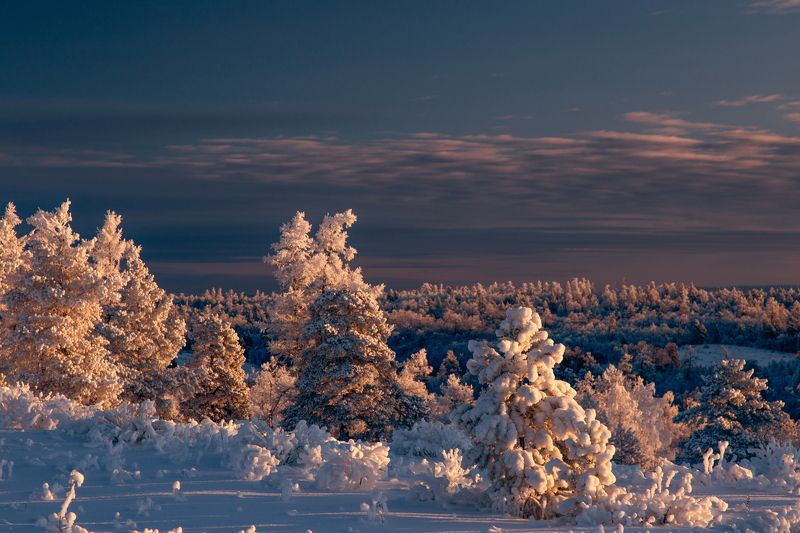 Портфолиоphoto preview