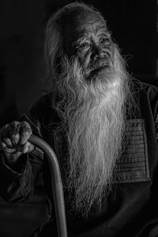 portrait Contemplationphoto preview