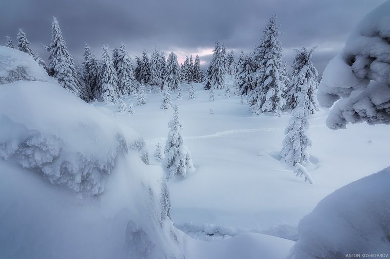 Без названияphoto preview