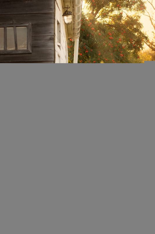 Босоногое детствоphoto preview