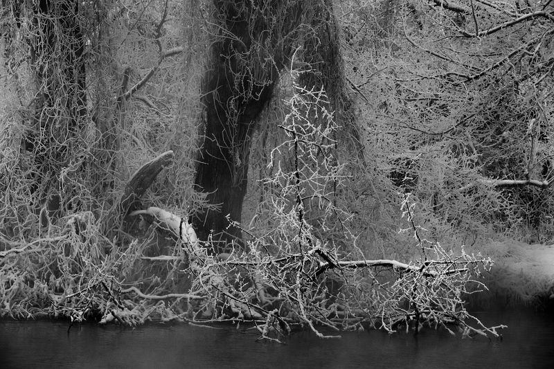 Там, на неведомых дорожках...photo preview