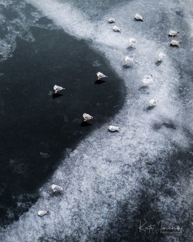 Озябшиеphoto preview