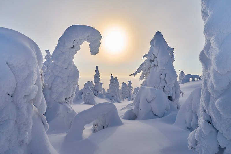 Снежный мирphoto preview